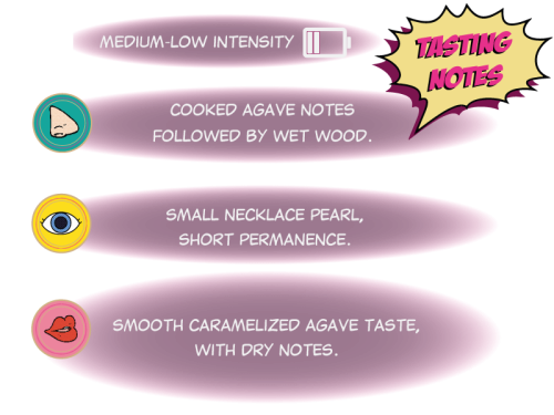 VS-Tasting-Notes-Nuevo-Formato