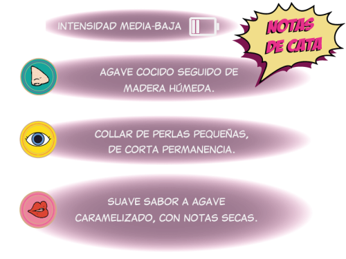 VS-Tasting-Notes-Nuevo-Formato2